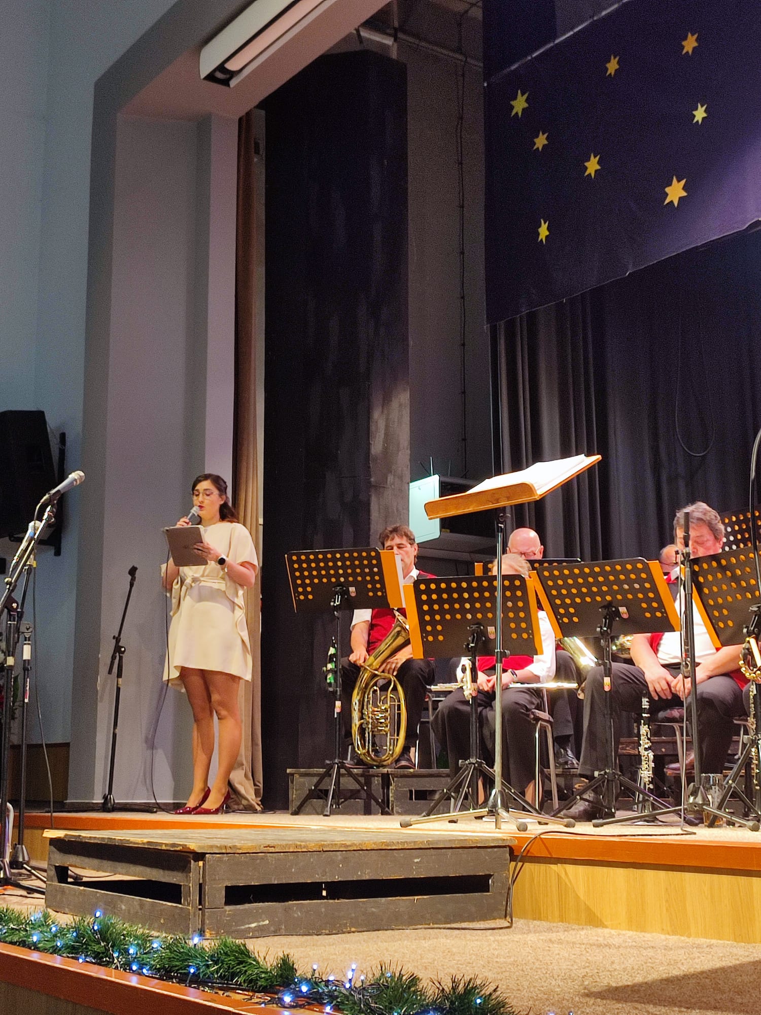 Vánoční koncert 2025